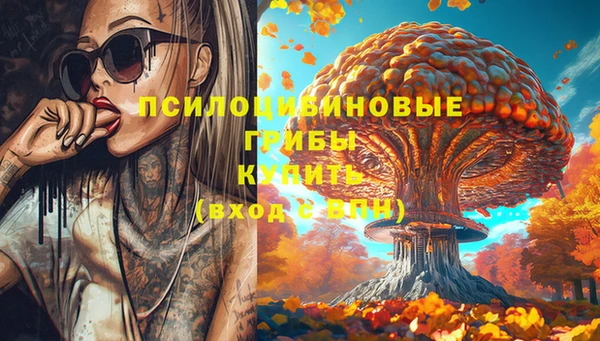 эйфоретик Зерноград