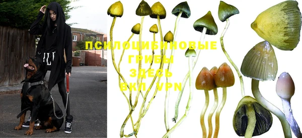 mix Зеленодольск
